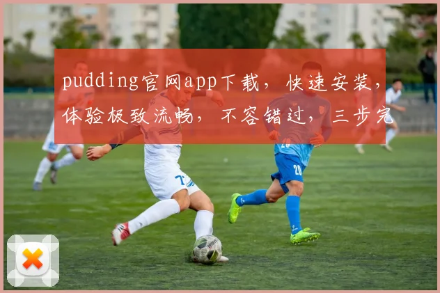 pudding官网app下载，快速安装，体验极致流畅，不容错过，三步完成