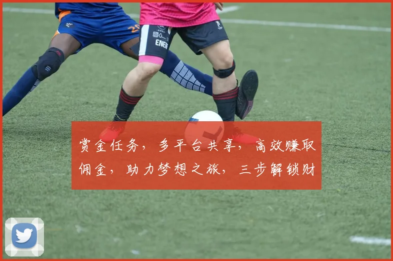 赏金任务，多平台共享，高效赚取佣金，助力梦想之旅，三步解锁财富之门，成就非凡人生。