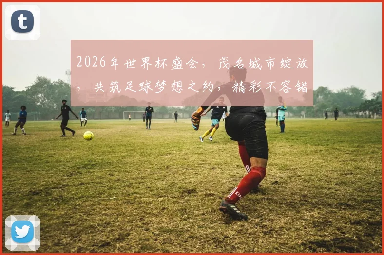 2026年世界杯盛会，茂名城市绽放，共筑足球梦想之约，精彩不容错过