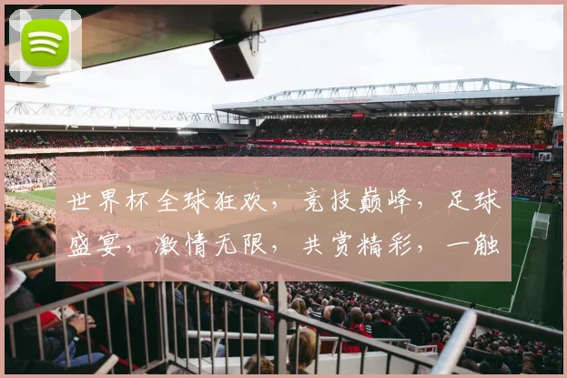 世界杯全球狂欢，竞技巅峰，足球盛宴，激情无限，共赏精彩，一触即发