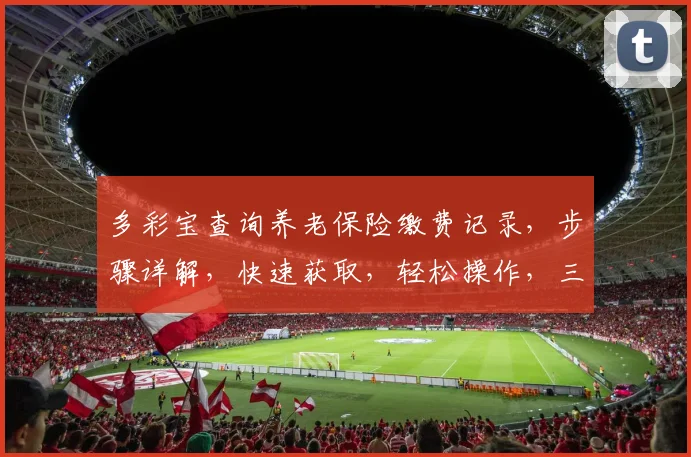 多彩宝查询养老保险缴费记录，步骤详解，快速获取，轻松操作，三步搞定
