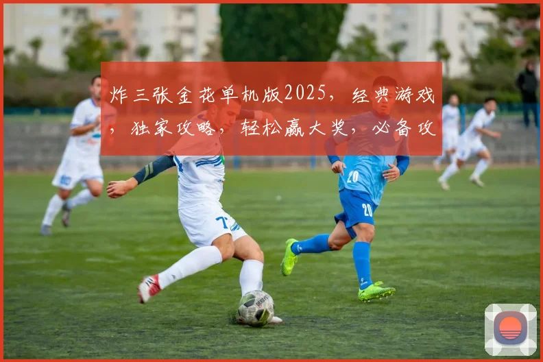 炸三张金花单机版2025，经典游戏，独家攻略，轻松赢大奖，必备攻略手册，三连击